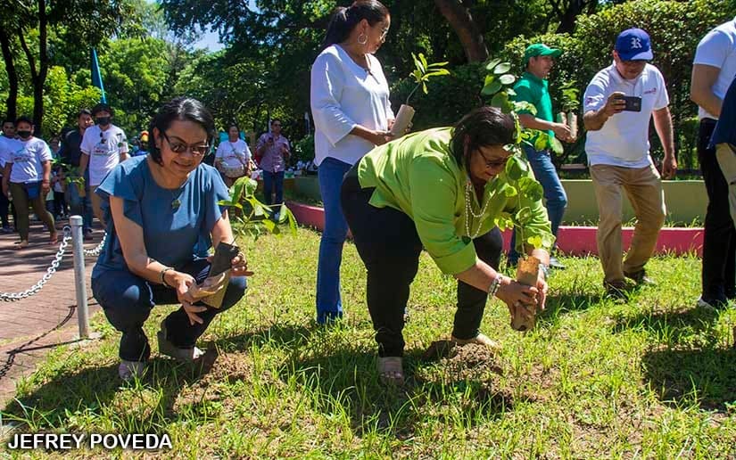 REFORESTACION