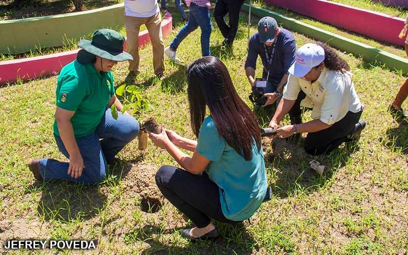 REFORESTACION