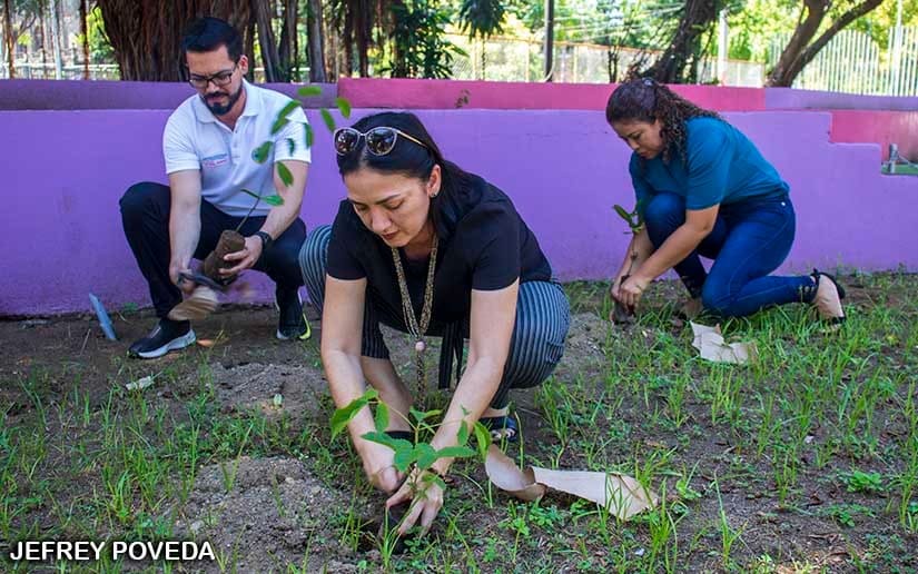 REFORESTACION