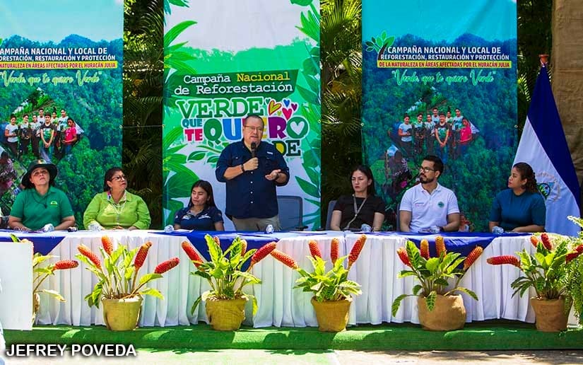 REFORESTACION