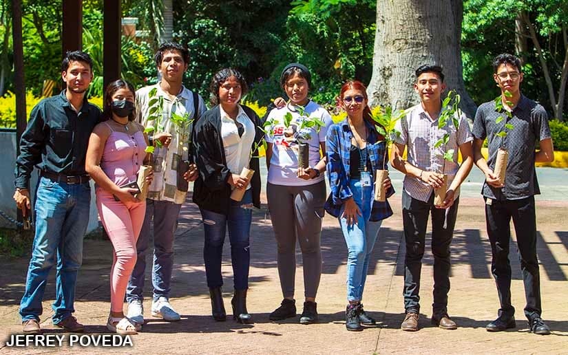 REFORESTACION
