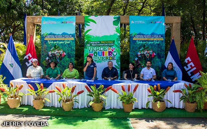 REFORESTACION