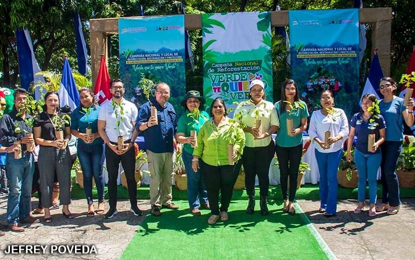 REFORESTACION