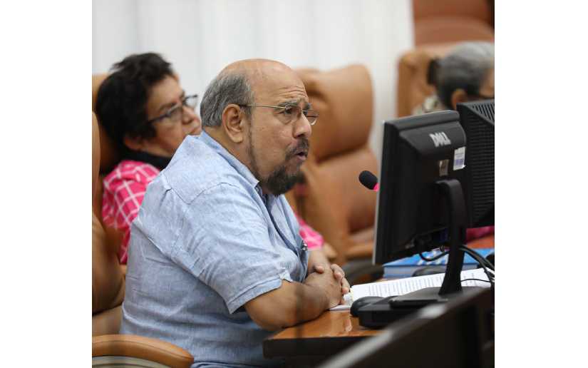 diputado