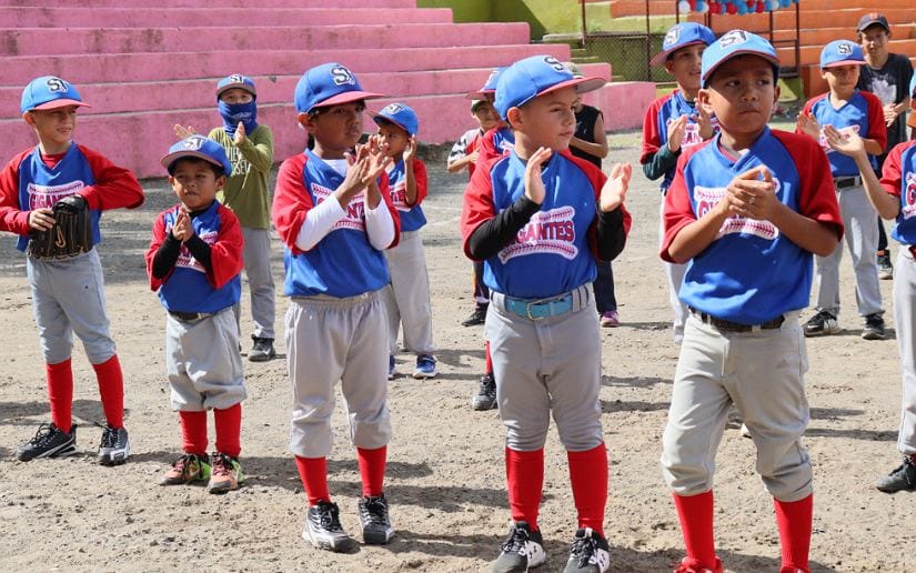acadmia-beisbol