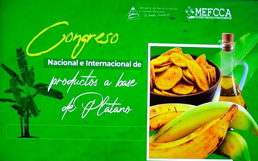 platano