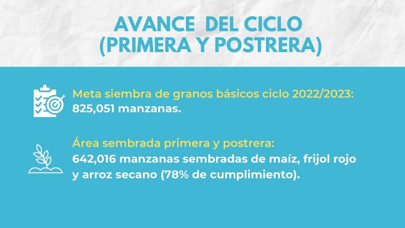 CONSECHA