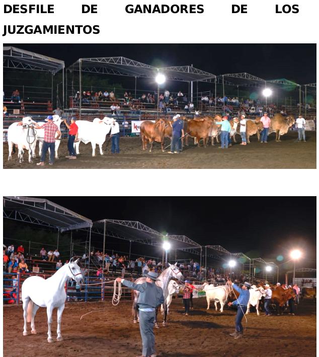 feria