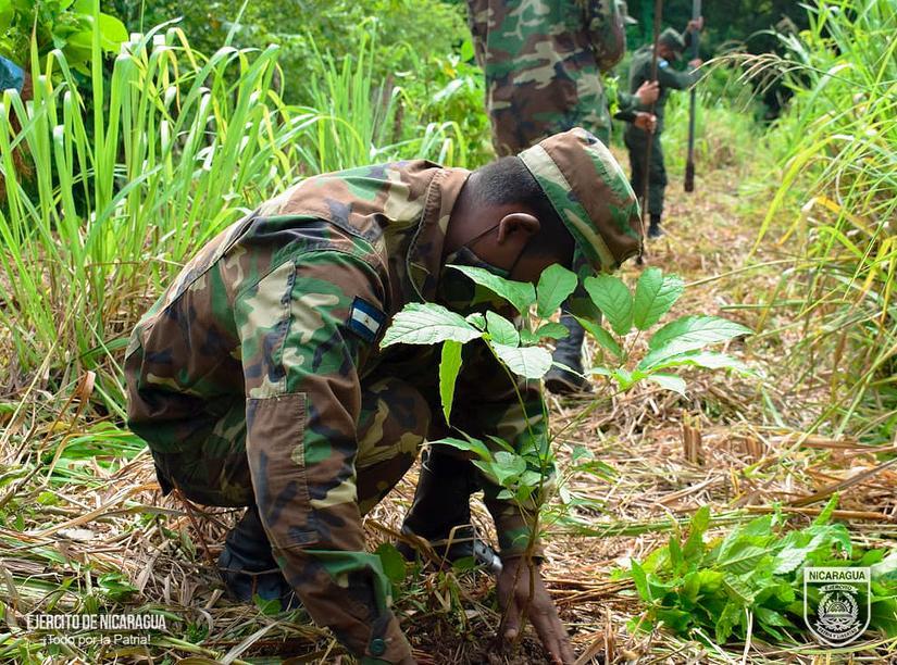 ejercito