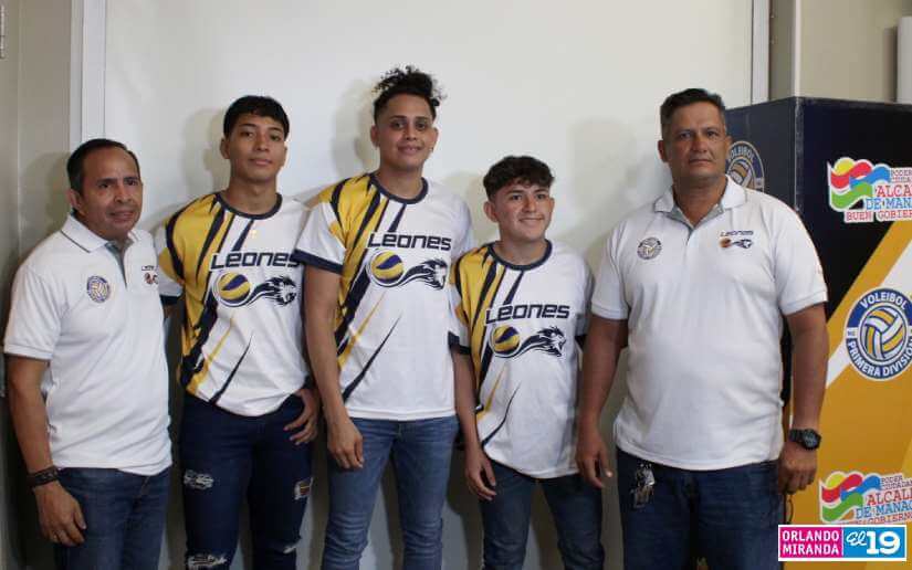 voleibol