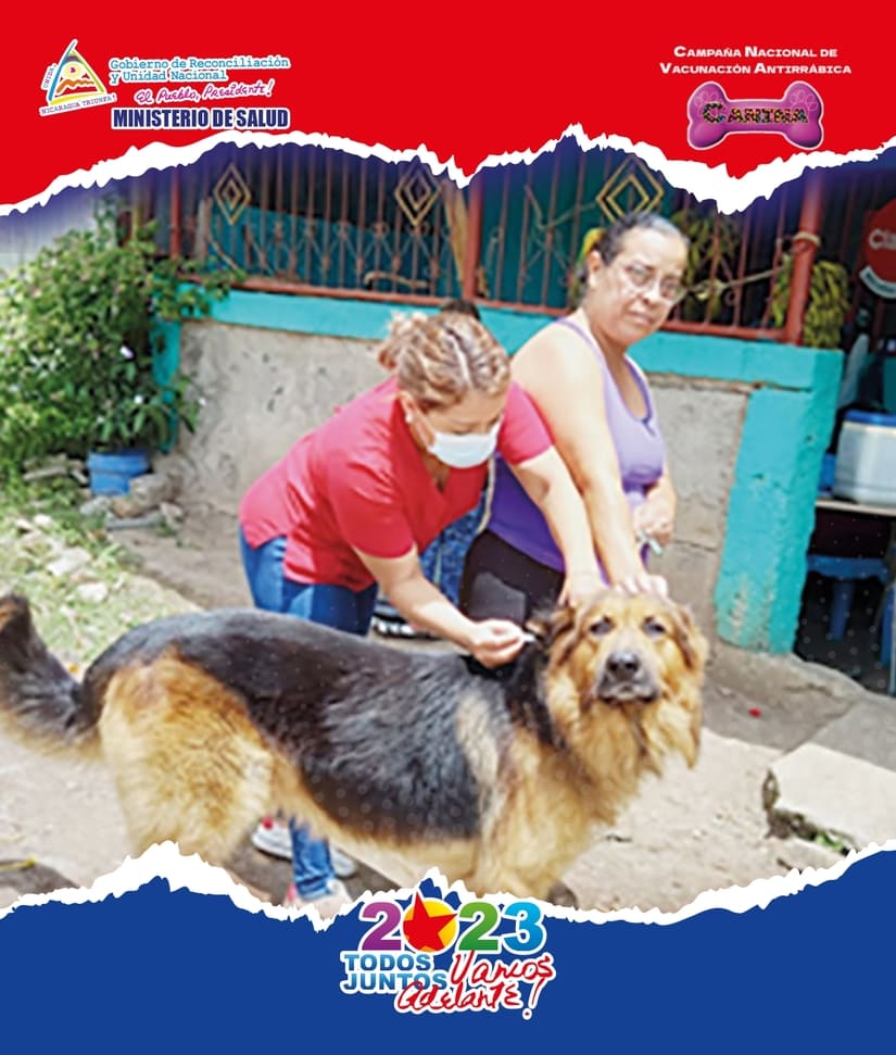 CANINA