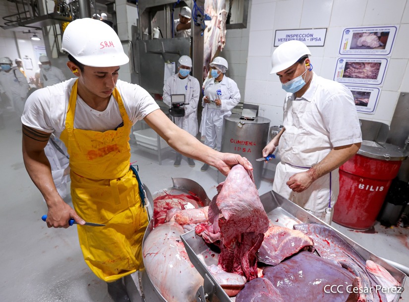 carne