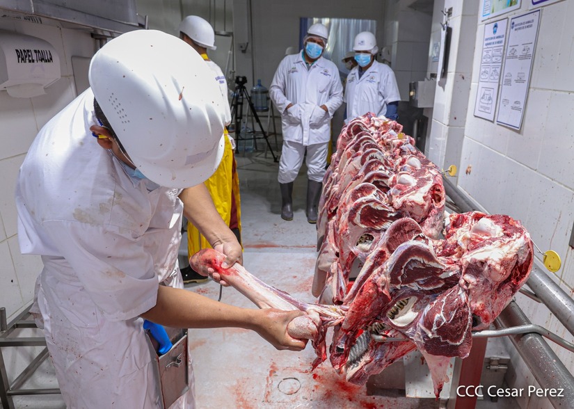 carne