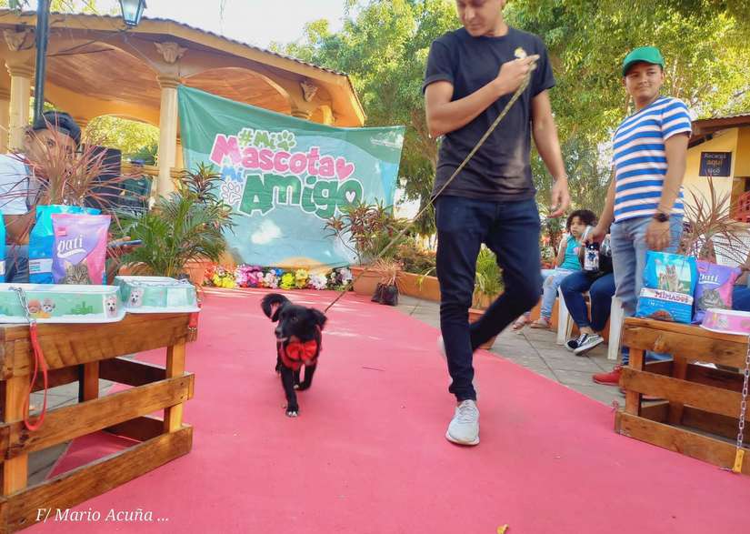MASCOTA