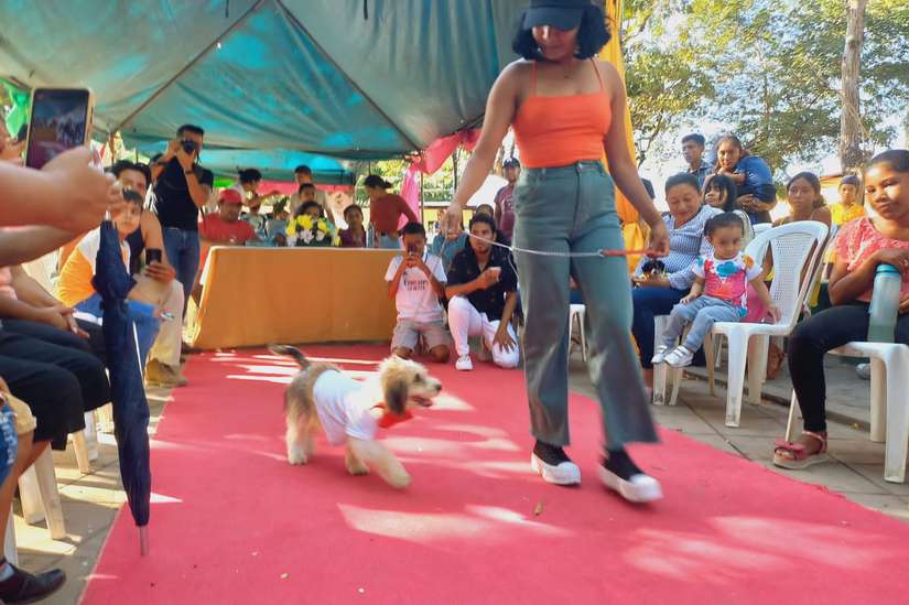 MASCOTA
