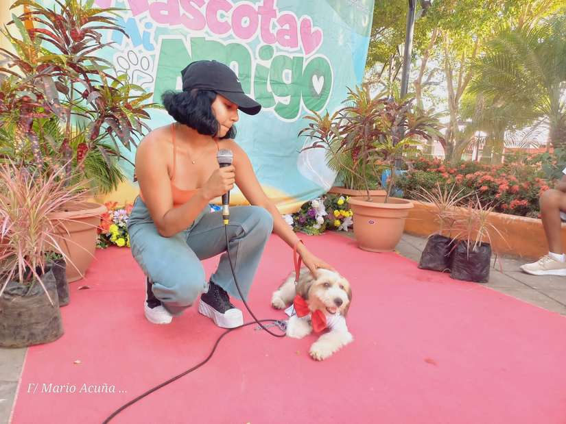 MASCOTA