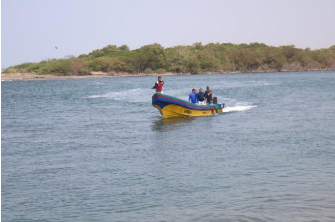 pesca