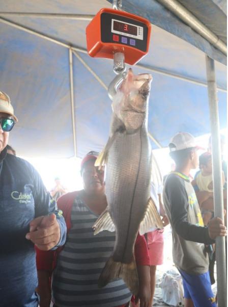 pesca