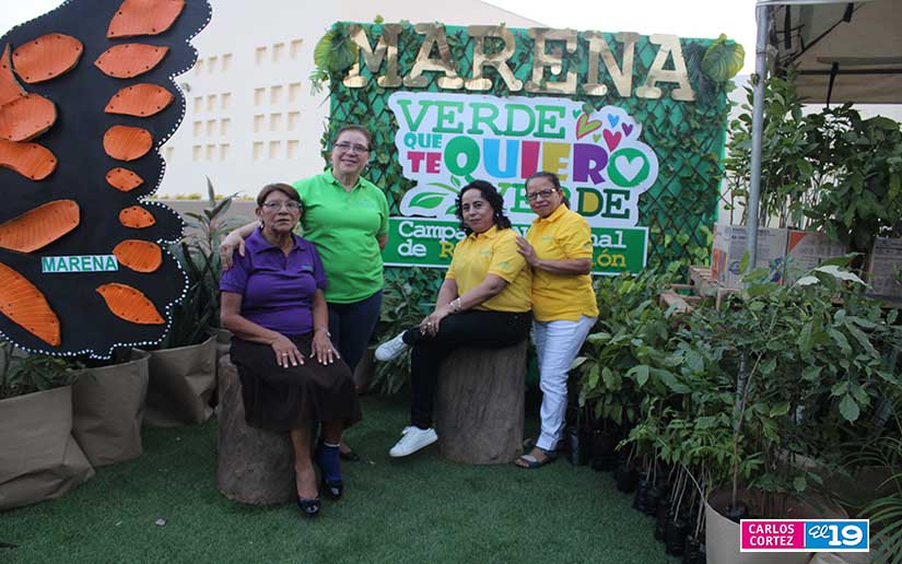 tierra