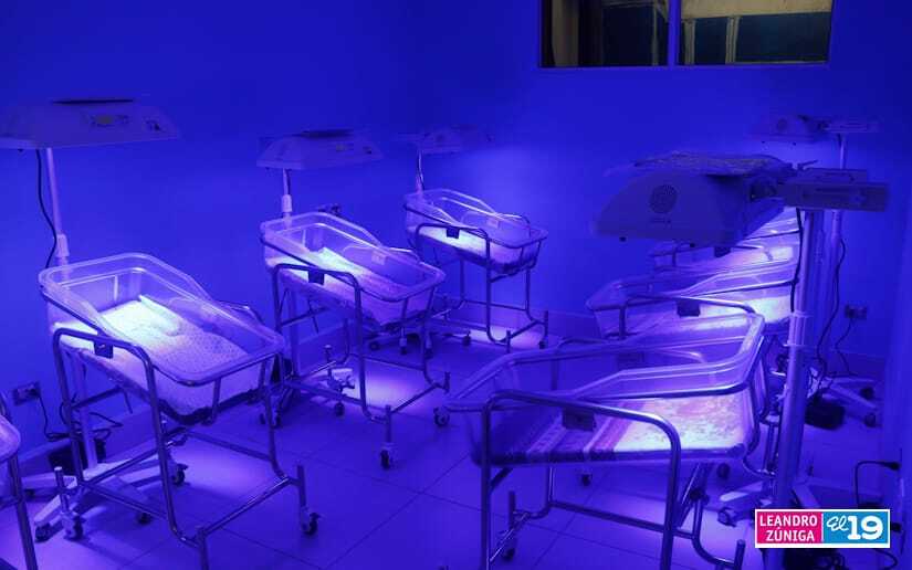 neonatologia