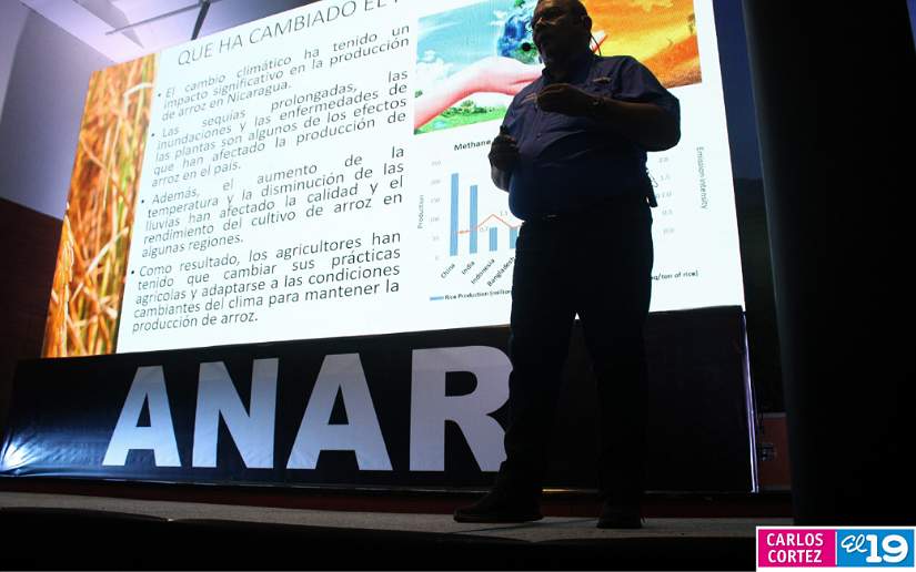 anar