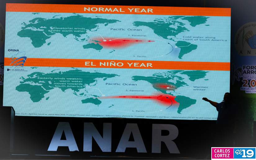 anar