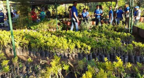 vivero