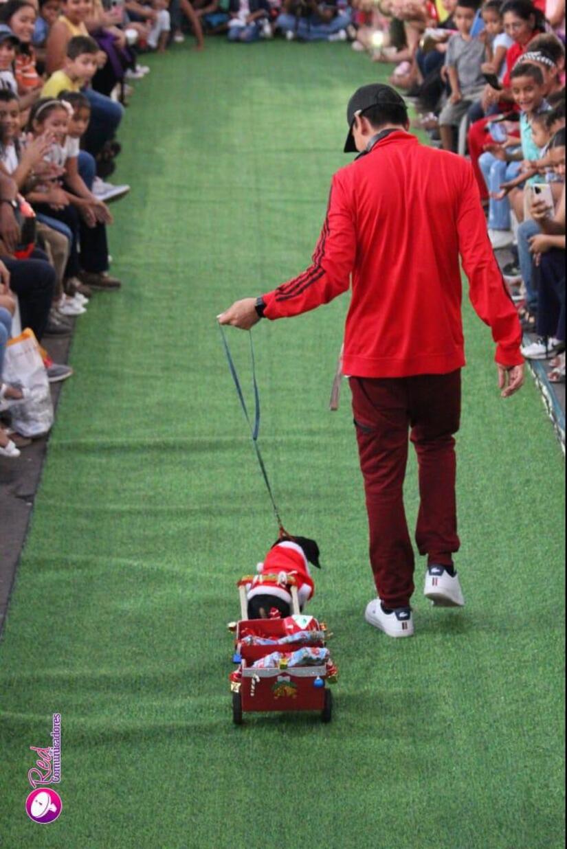 MASCOTAS