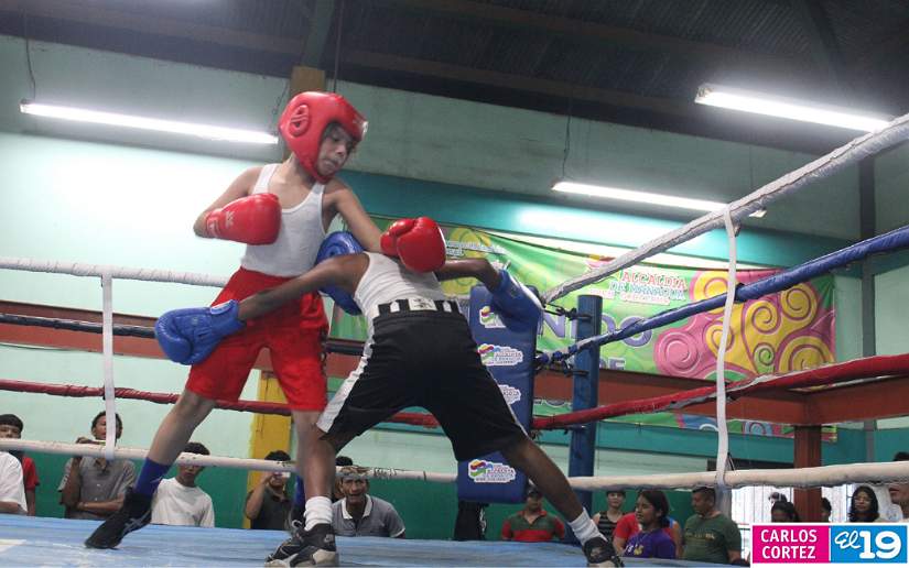 boxeo