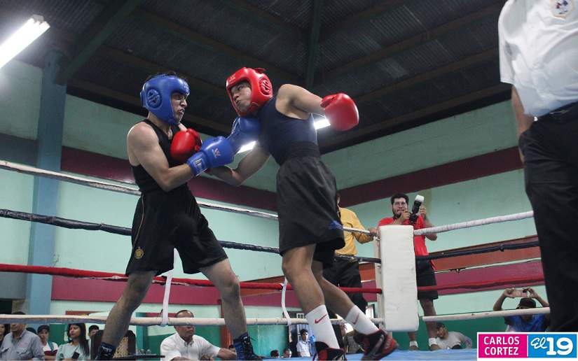 boxeo