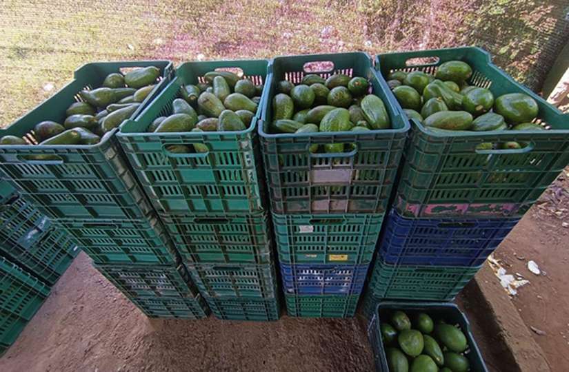 FINCA