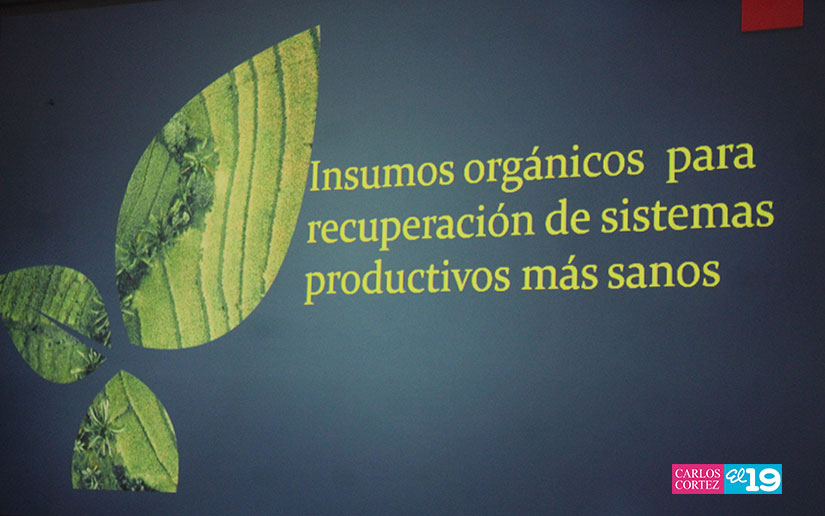 inta