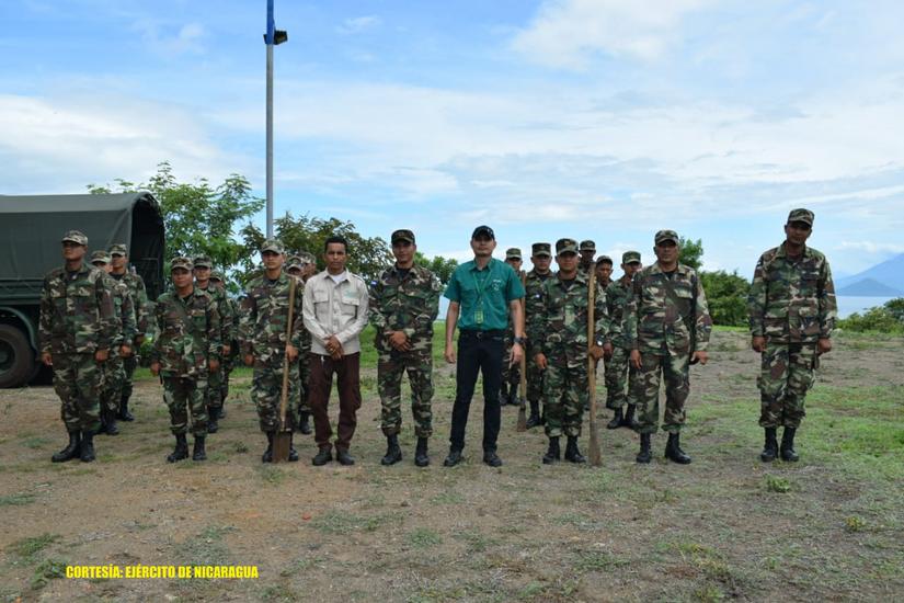 reforestacion
