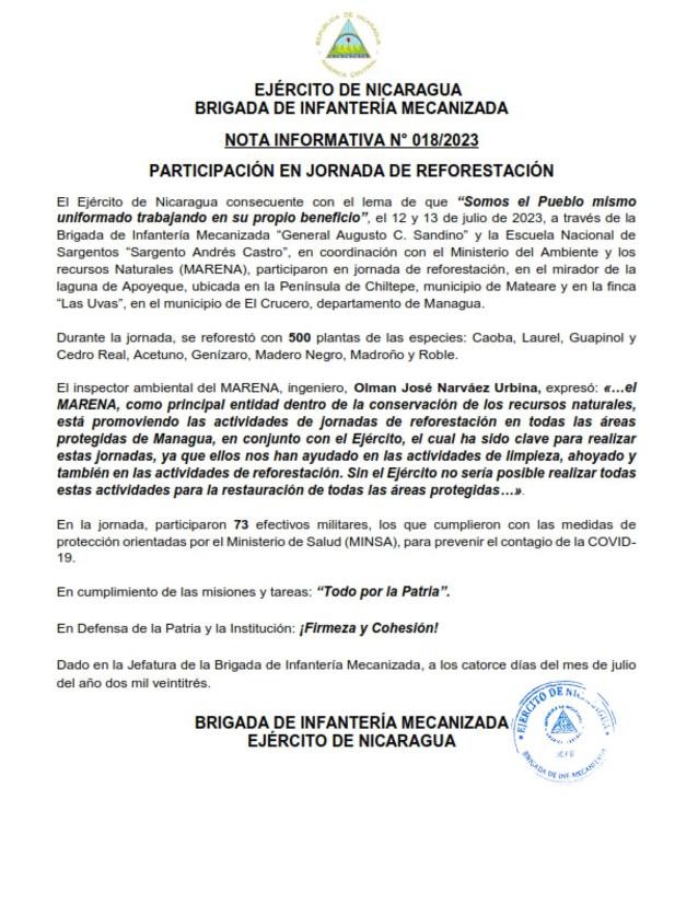 reforestacion