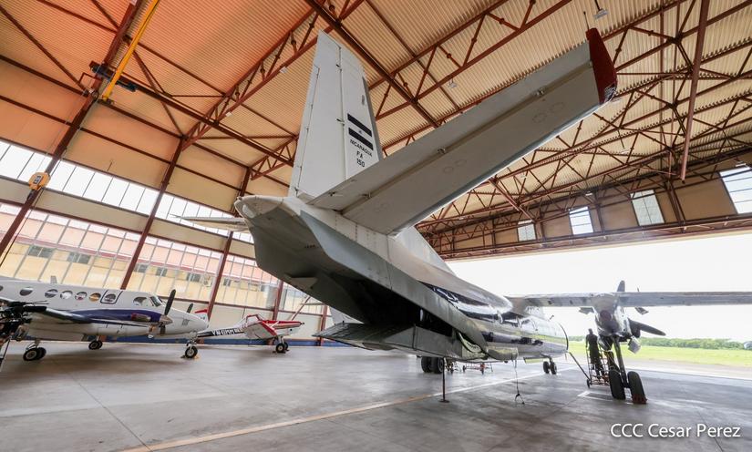 fuerzaaerea