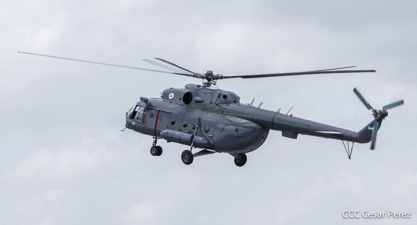 fuerzaaerea