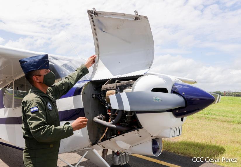 fuerzaaerea