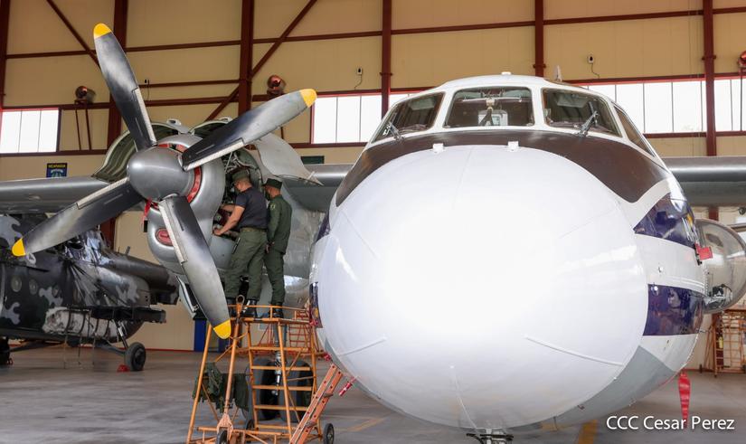fuerzaaerea