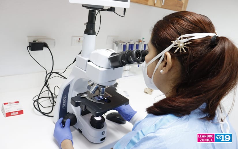 laboratorio
