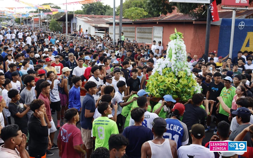 vacasculonas