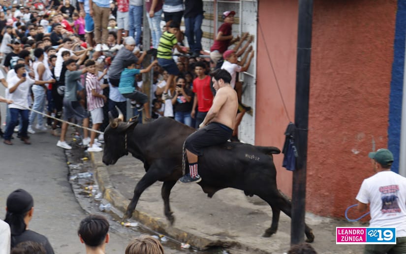vacasculonas
