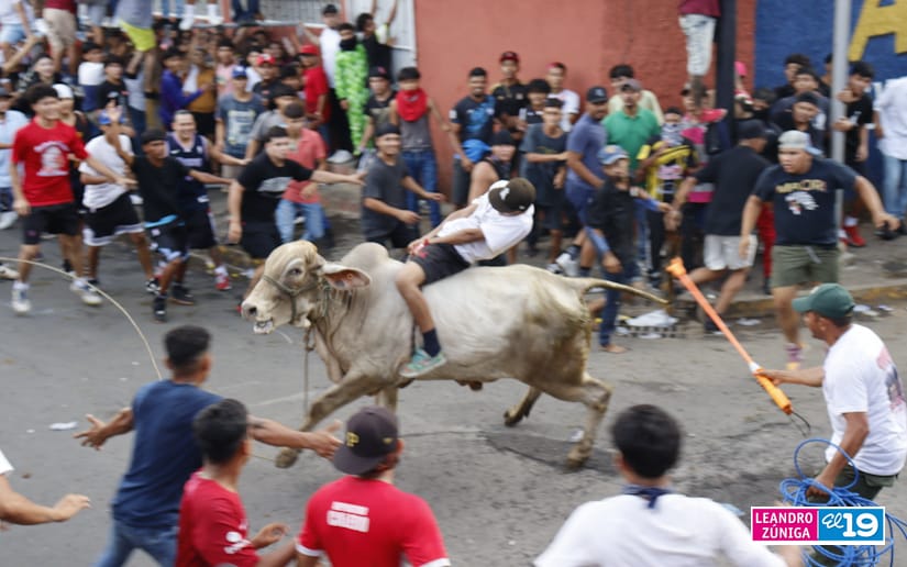 vacasculonas