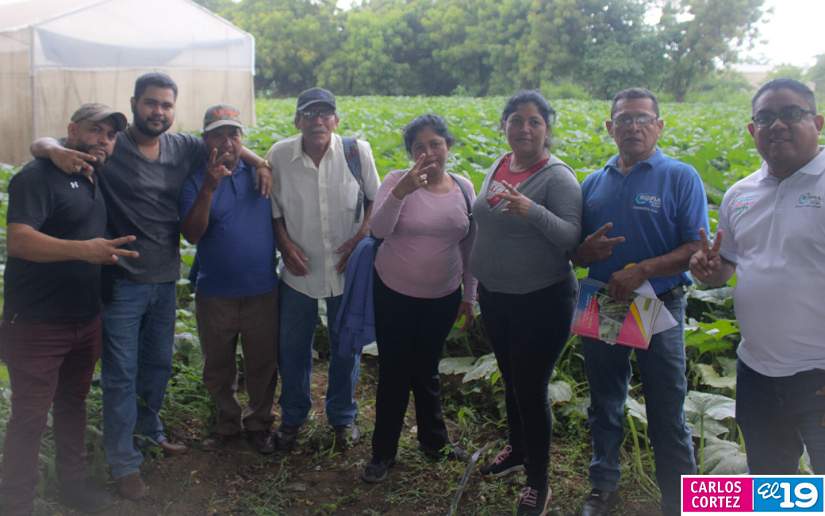 inta-pipian