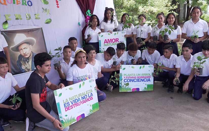 planta