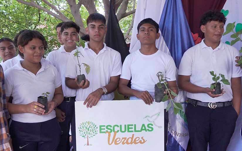 planta