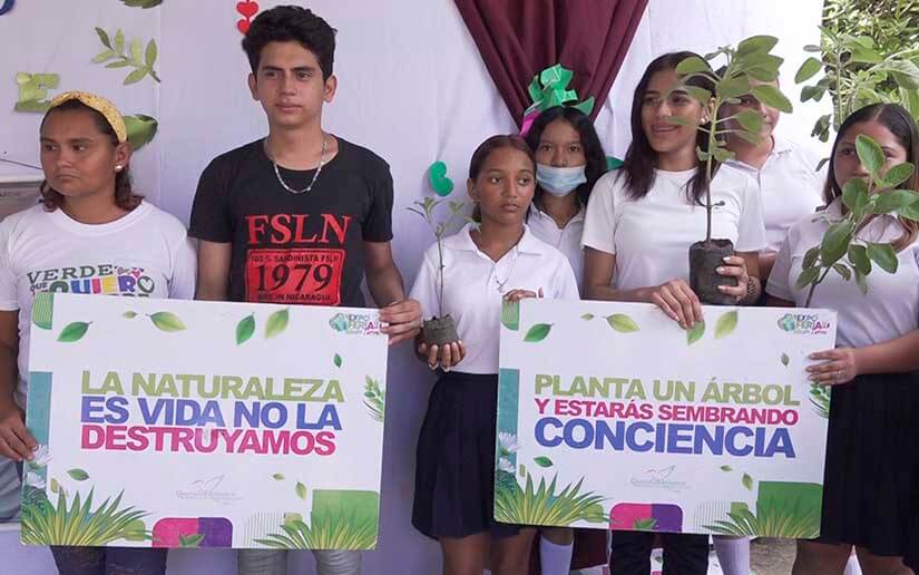 planta