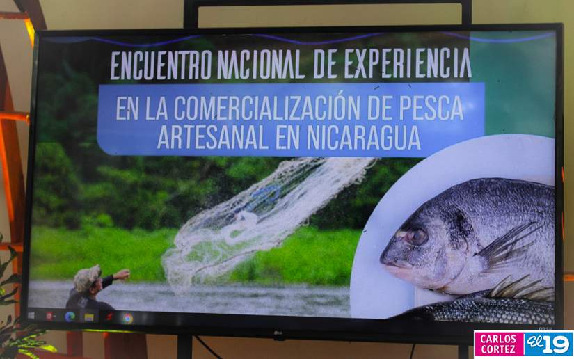 pesca