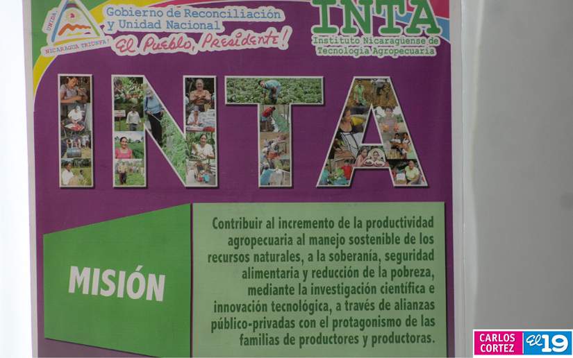 Inta