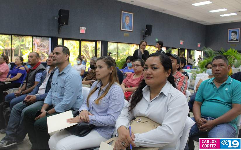 ALIMENTACION