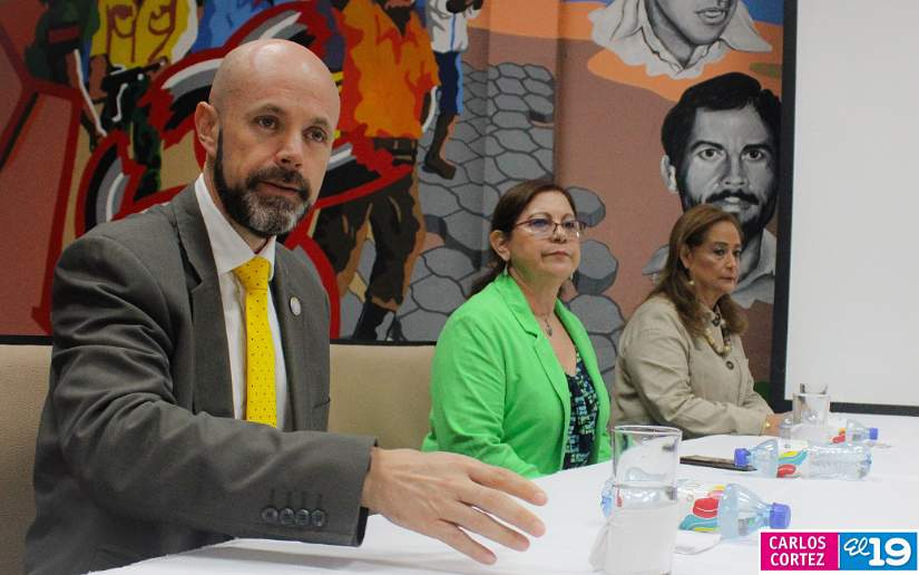 ALIMENTACION